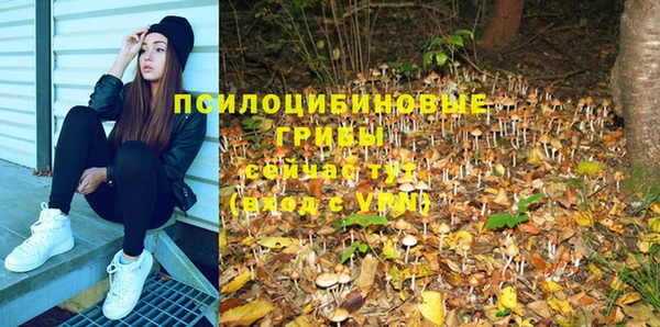 гидропоника Абинск